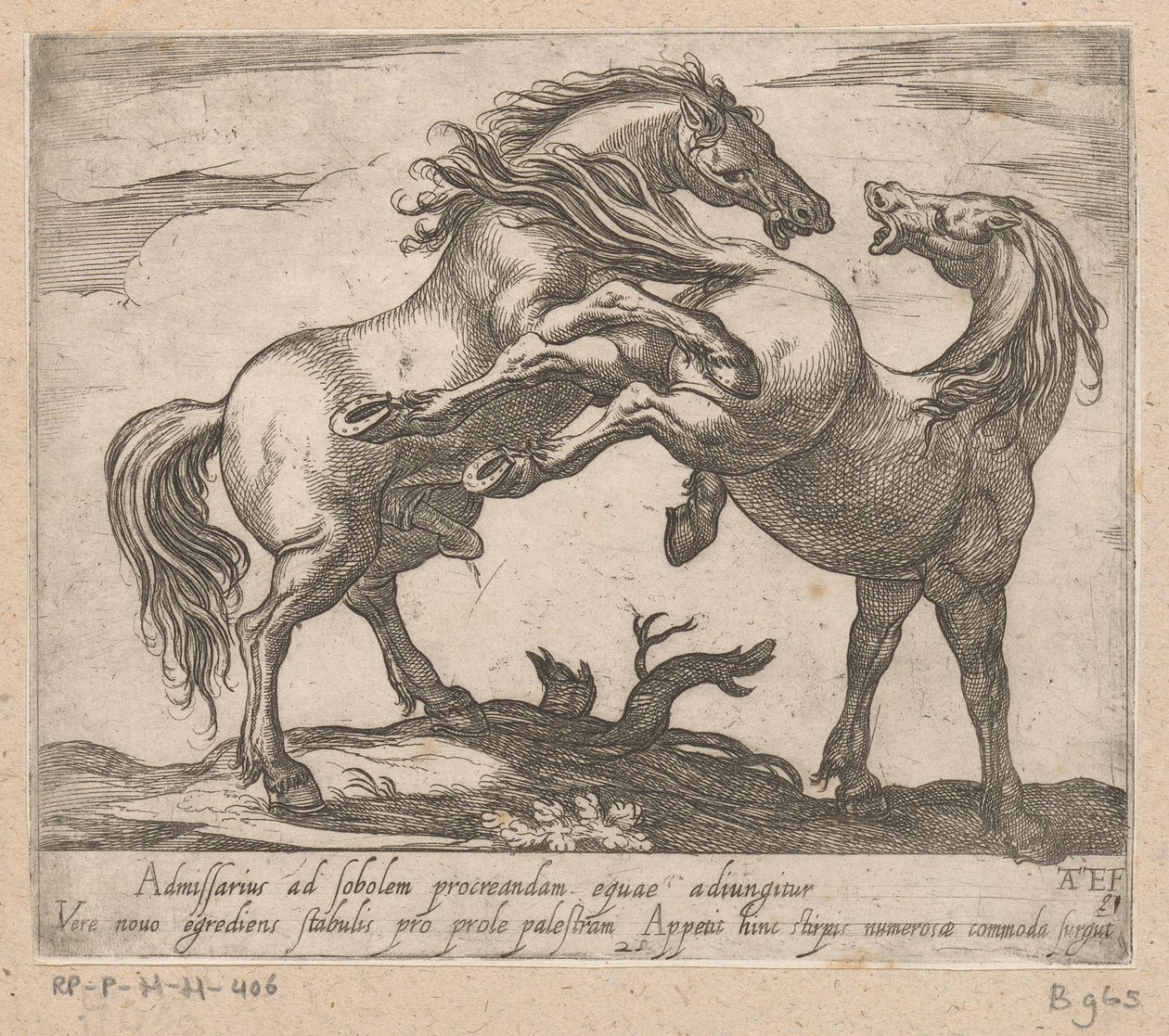 トゥイー・パレンデ・パーデン Paarden uit verschiedelden landen (シリーズタイトル) これらのリーダーと一緒に、あなたはヴィロールの口を持つリーダーとして称賛されるでしょう。 作： アントニオ・テンペスタ