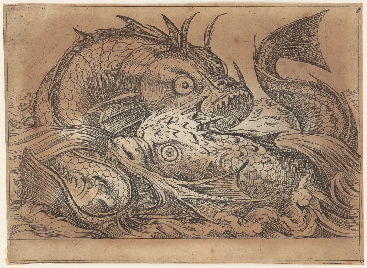 争う二匹の魚 作： アントニオ・テンペスタ