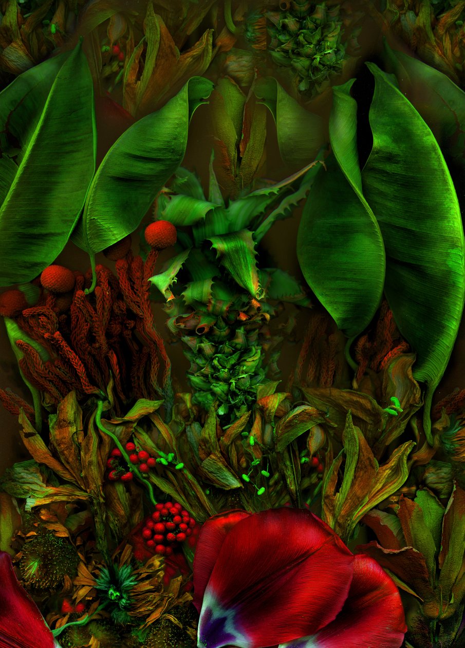 2025年アンデルスヴェルトNo.22-2（写真） 作： 