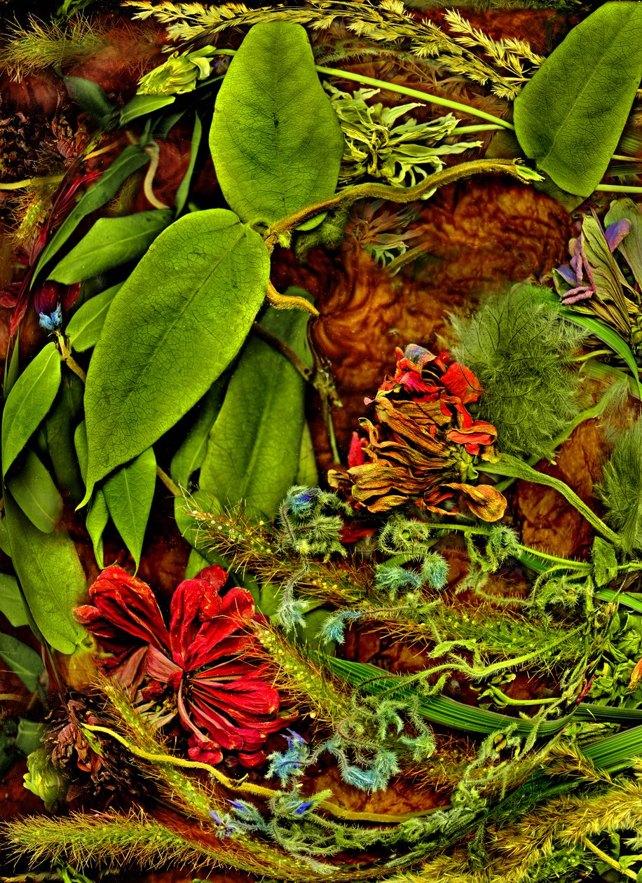 2025年、異世界第2号（写真） 作： 