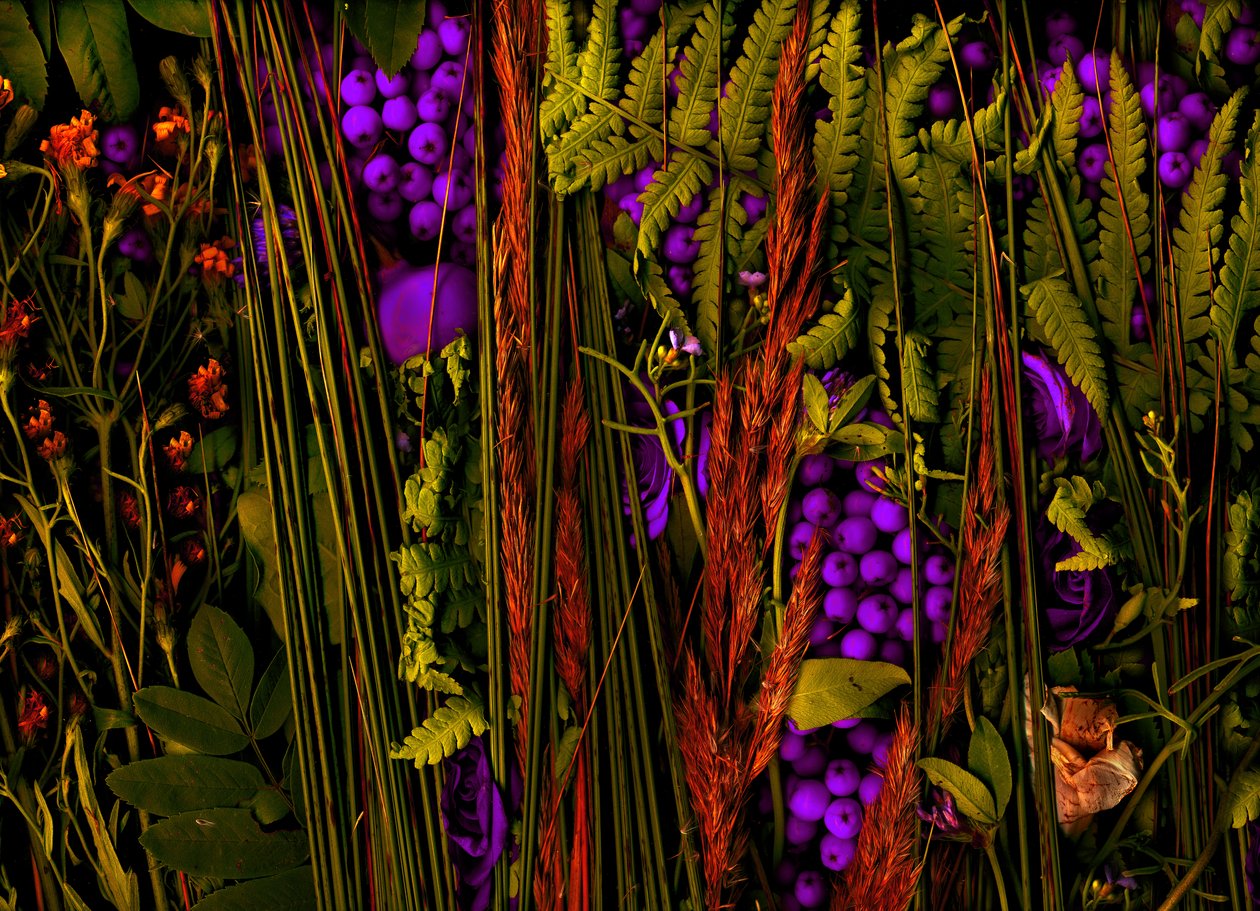 2019年マジックガーデンNo.39-3（写真） 作： 