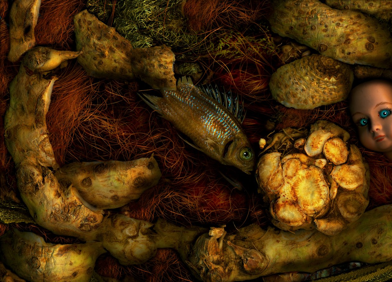 2014年マジックガーデン70号（写真） 作： 