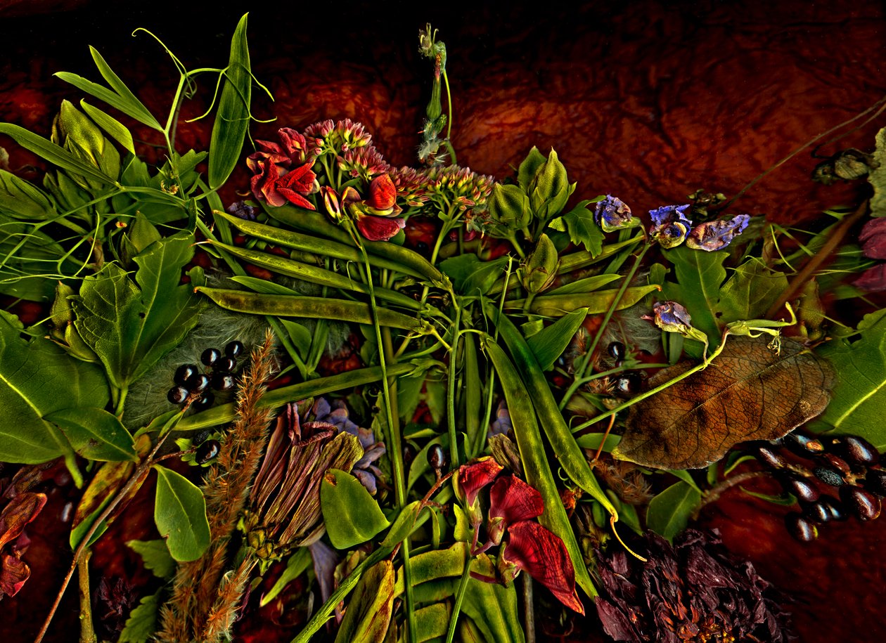 静物 2014年3月（写真） 作： 