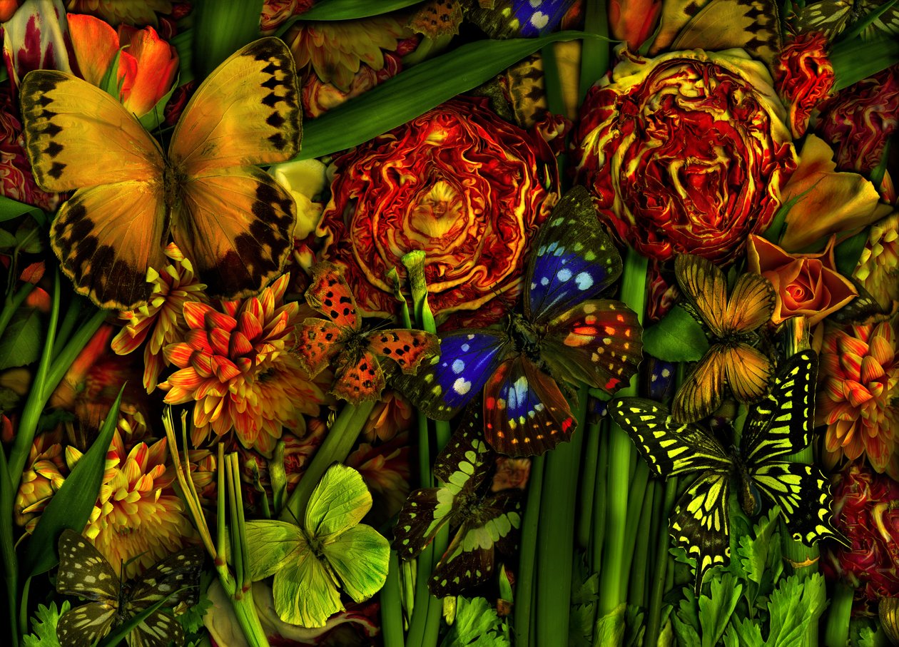 サマータイム、2012年（写真） 作： 