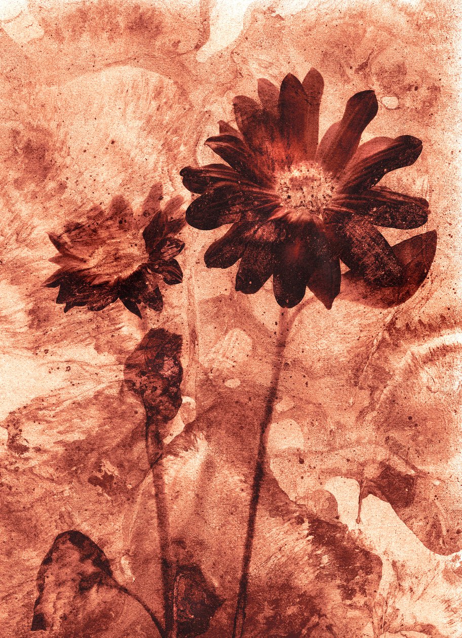 モノ・フラワー 作： 