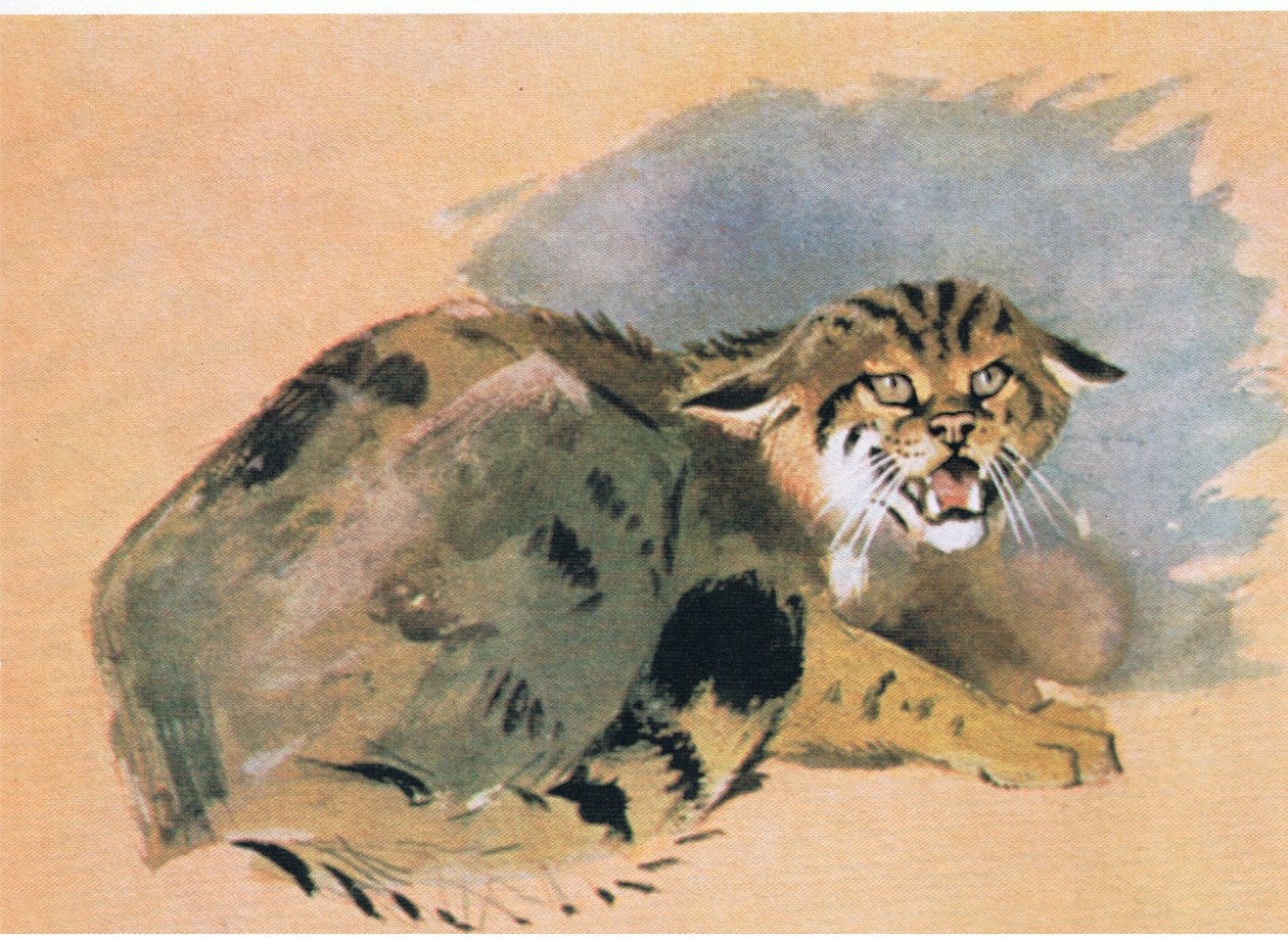 山猫、パブ。ブッククラブアソシエイツ、1972年 作： アーチボルドソーバーン