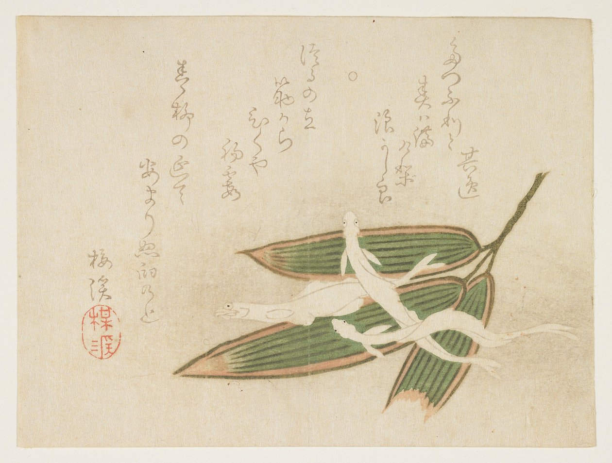 （しらすと笹の葉）、c。 1860 作： 有原梅渓