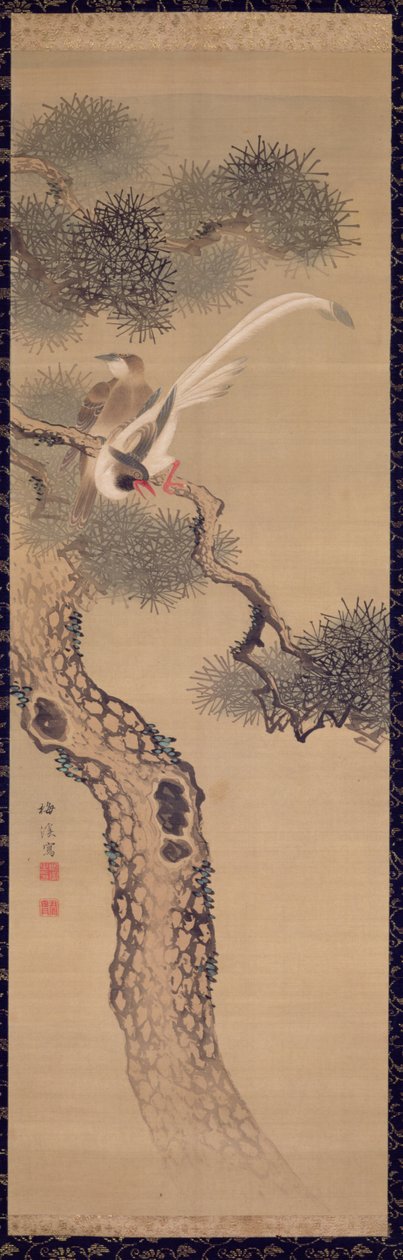 松の木の長い尾を持つ鳥、1800年頃（インクと絹の色） 作： 有原梅渓
