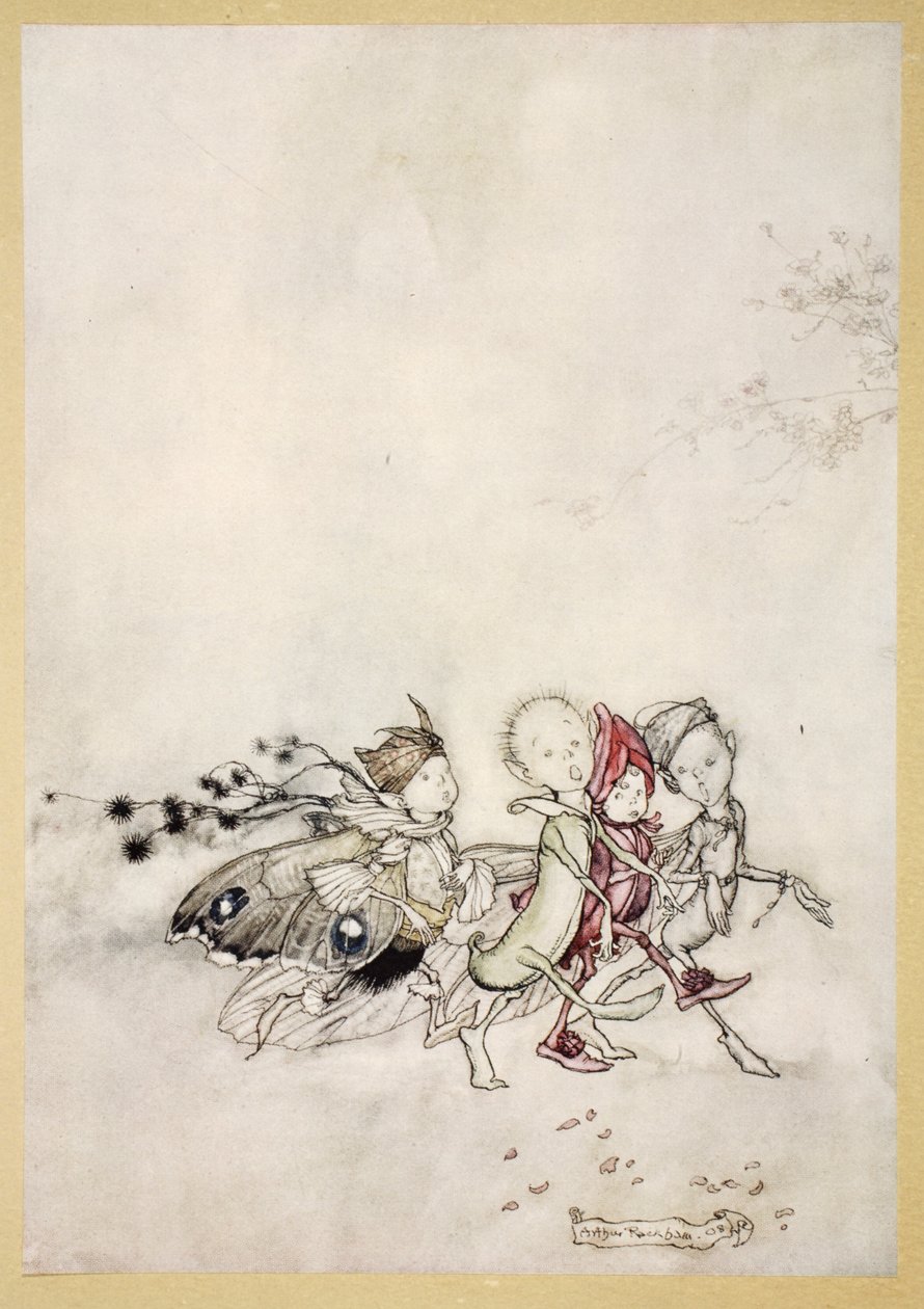 ウィリアムシェイクスピア作「真夏の夜の夢」（1908年）のPeasebottom、クモの巣、蛾、マスタードシードのイラストをご覧ください 作： アーサー・ラッカム
