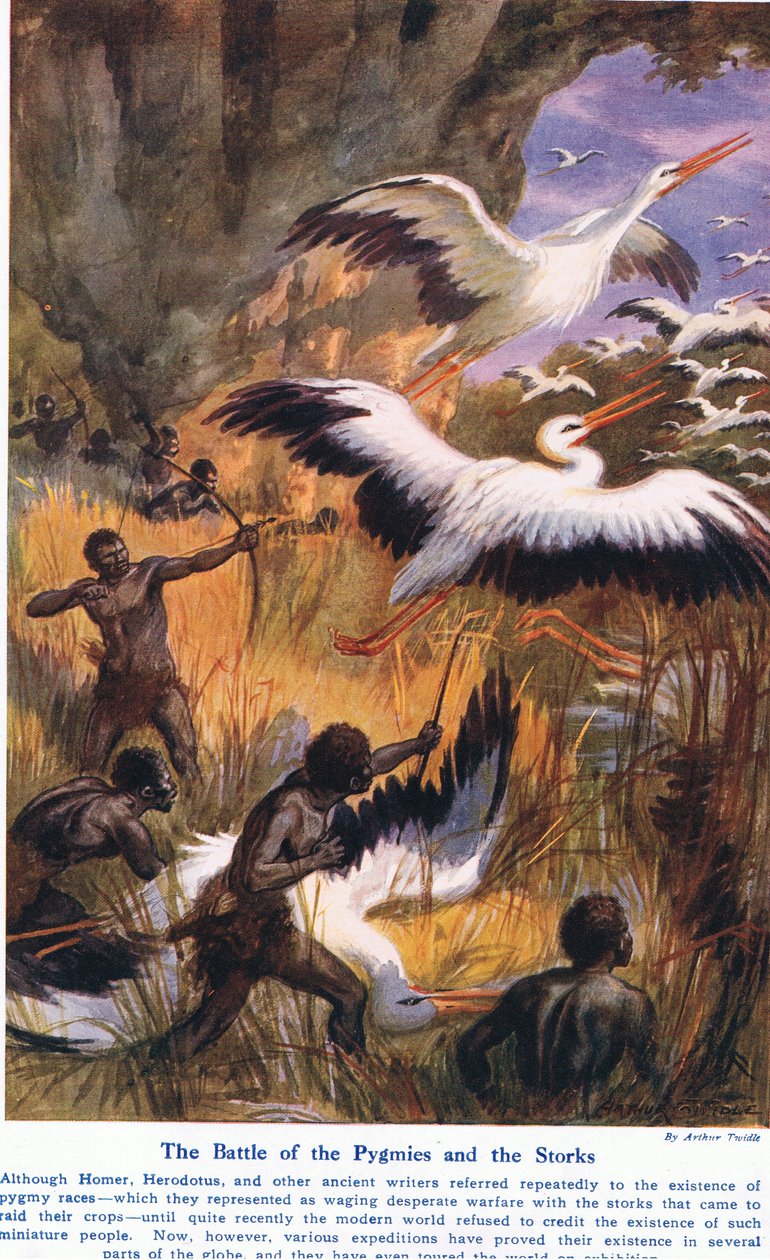 ピグミーとコウノトリの戦い、「陸と海の不思議」のイラスト、1914年、ロンドン、カッセルから出版 作： アーサー・トワイドル