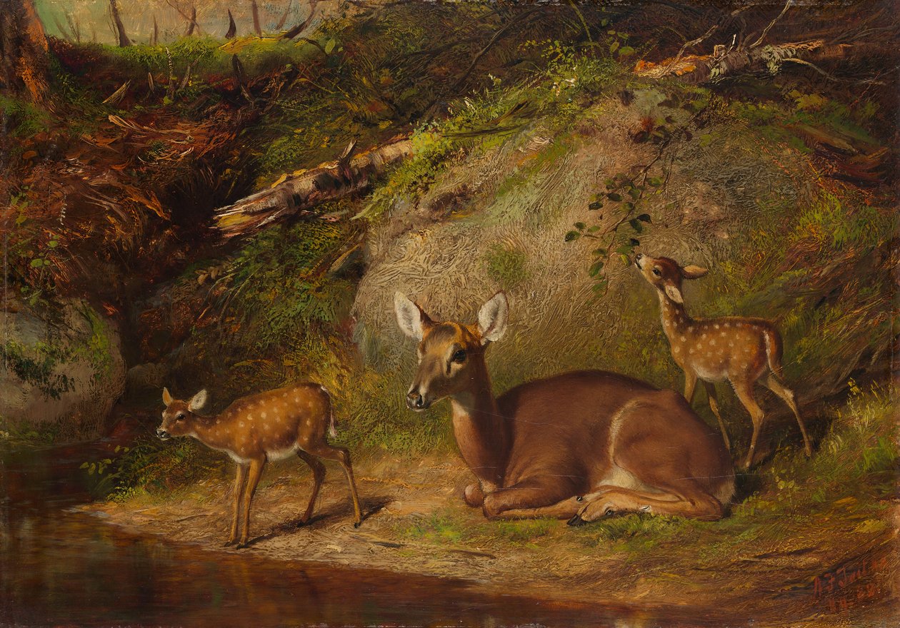 Doe and Two Fawns、1882年。 作： アーサー・フィッツウィリアム・テイト