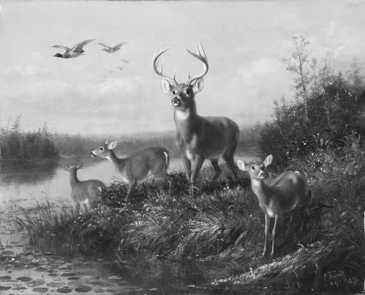 Qui Vive、Buck and Three Does、1871年。 作： アーサー・フィッツウィリアム・テイト