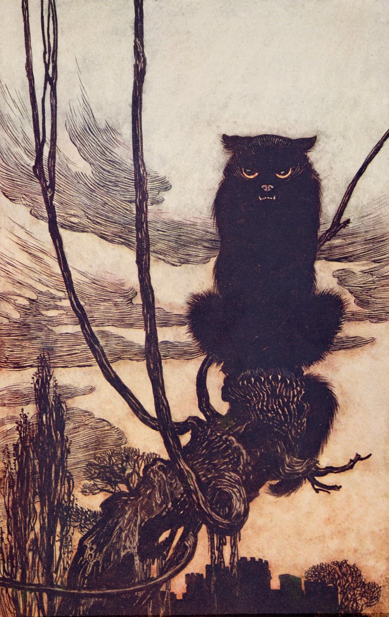 パブのグリム兄弟の童話に登場する彼女は、日によって猫になりました。 1909 作： アーサー・ラッカム