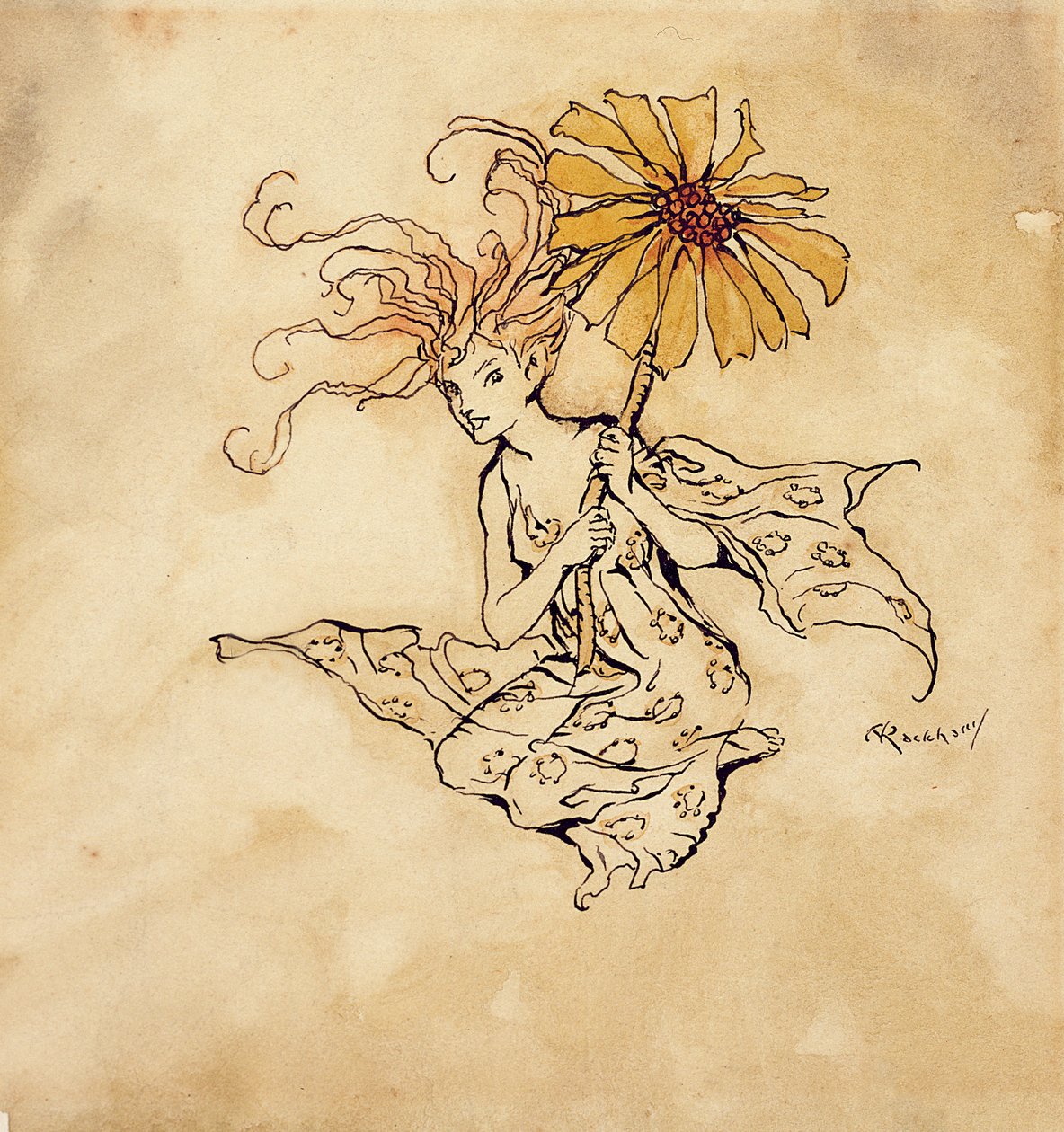 デイジーフェアリー、ケンジントンガーデンズのピーターパンのイラスト、JMバリー作、1912年発行（紙にペン、インク、トイレ） 作： アーサー・ラッカム