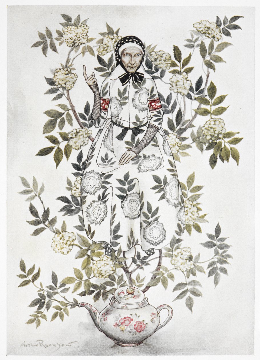 No meio de uma árvore estava sentada uma mulher de aparência bondosa. Uma grande planta crescendo em um bule. Uma velha entre os galhos. Uma ilustração colorida para 