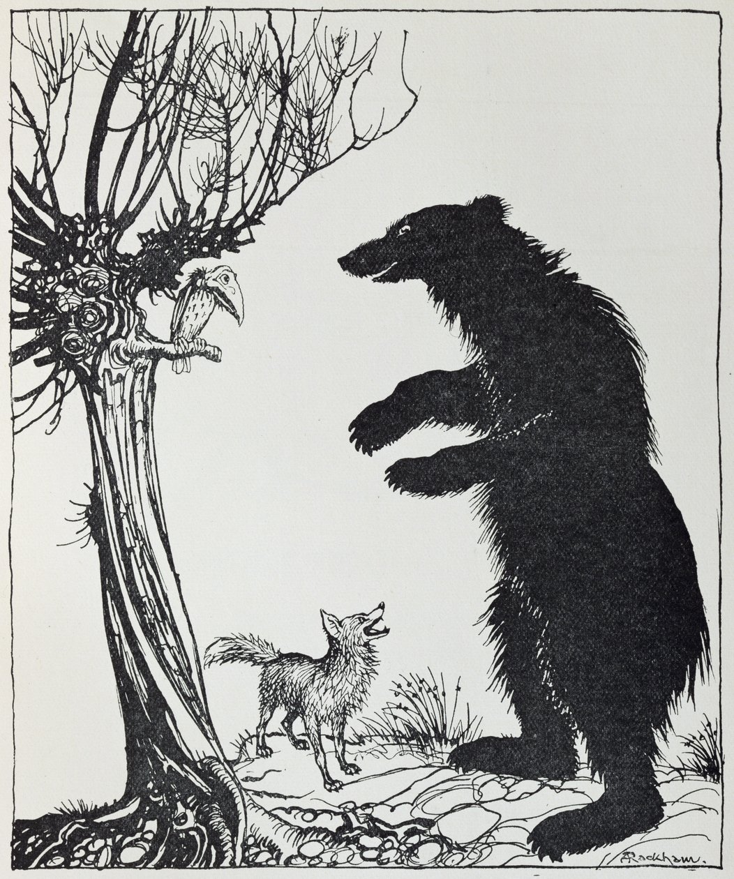 クマとキツネ、「イソップ寓話」のイラスト、ハイネマン発行、1912 作： アーサー・ラッカム