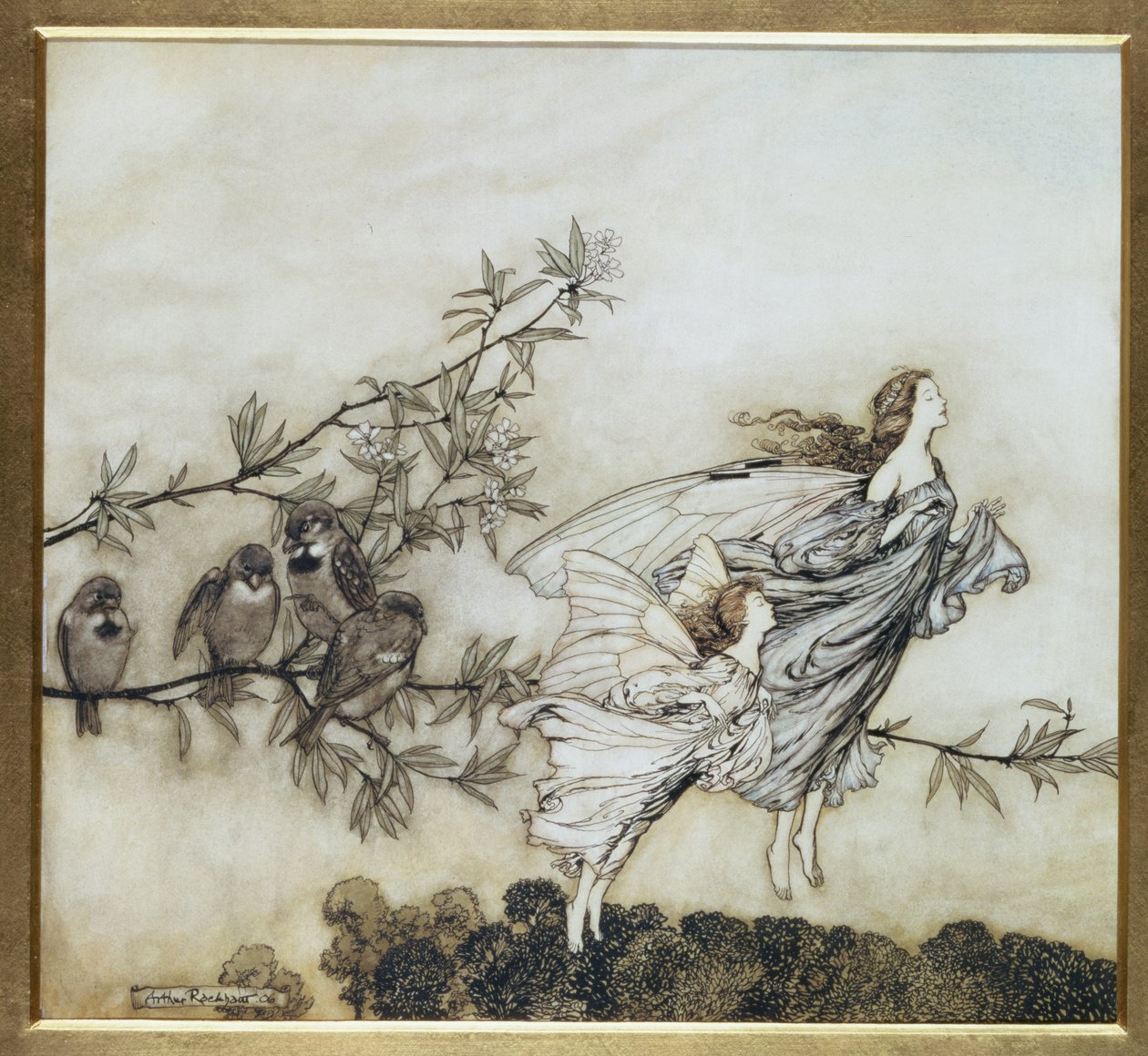 妖精は、鳥とのティフ、1906年のイラスト、パブJMバリーによってケンジントンガーデンズのピーターパンのイラスト。 1906（インクとトイレ） 作： アーサー・ラッカム