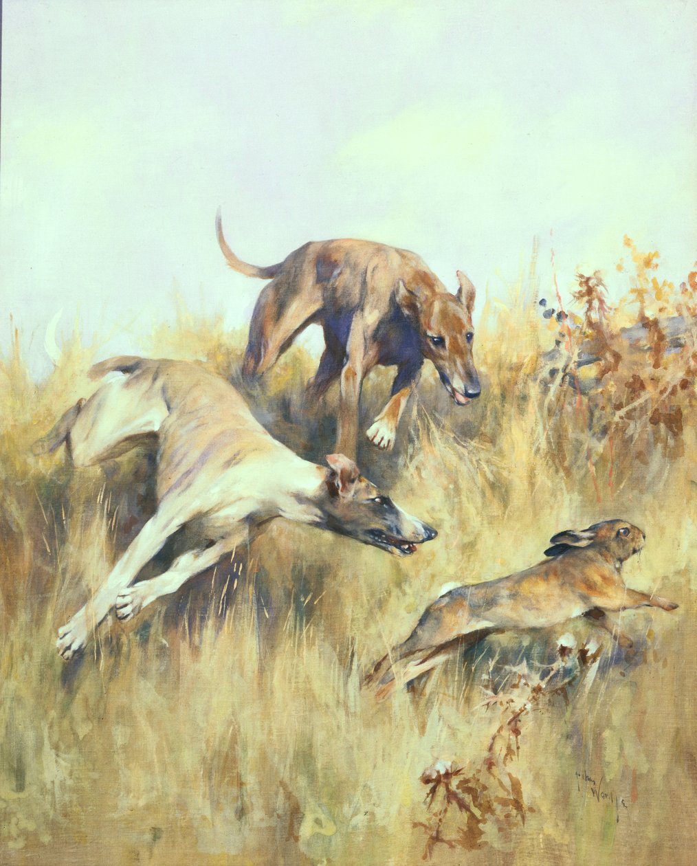 Greyhounds Giving Chase (紙にグワッシュ) 作： アーサーワードル