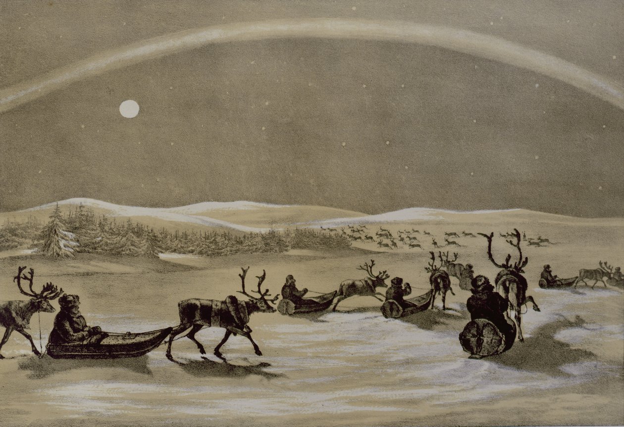 James Duffield Harding（1798-1863）1825（engrav）によって彫刻されたラップランドの冬のスケッチからの、トナカイの群れがジャーディスハブリを横切るラプランダーの群れの上のオーロラの特異な外観 作： アーサー・ド・カペル・ブルック