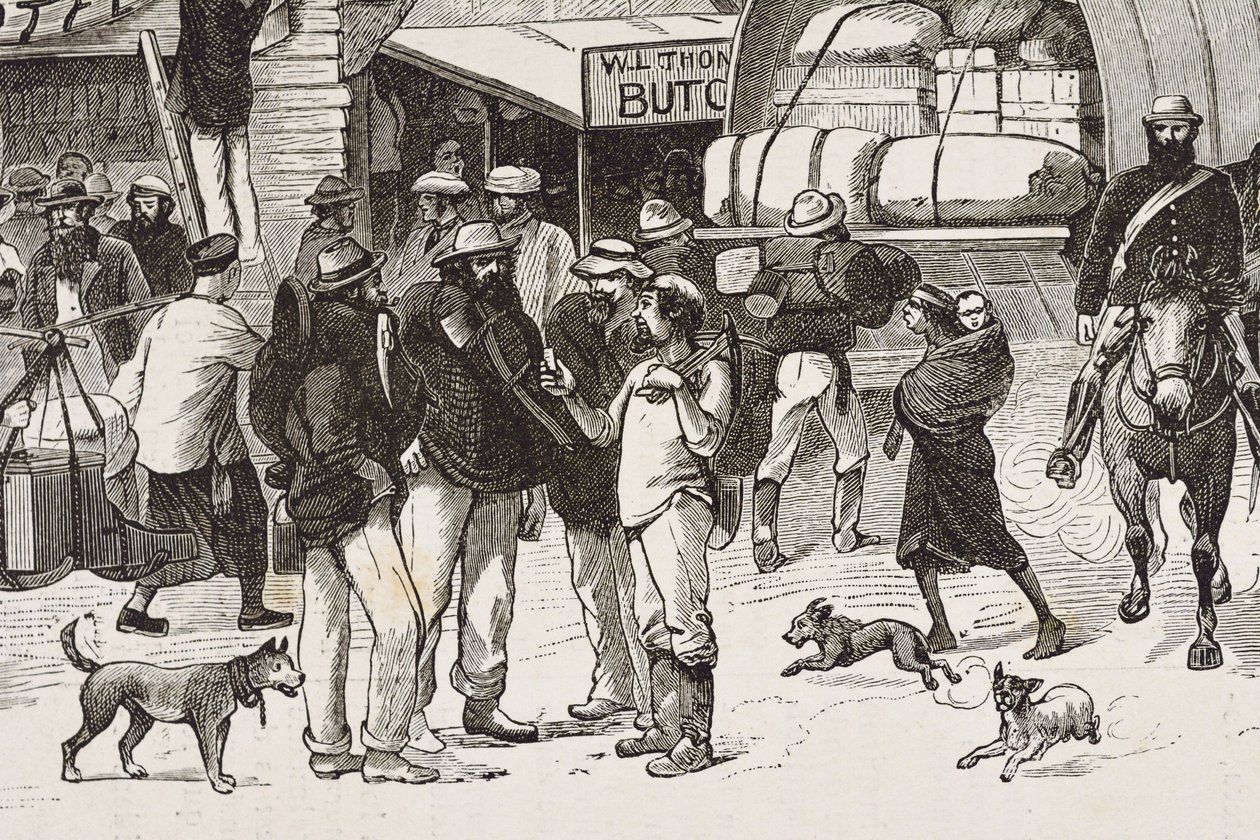 イングランド（19世紀）。植民地化（1880年）。オーストラリアでの金鉱発掘者たちの生活。英国の植民地ボタニー・ベイ（1788年設立）。当初は犯罪者から探鉱者や貿易商に転身した人々が主に住んでいた。エングレーヴィング。個人蔵 作： アーティスト不明