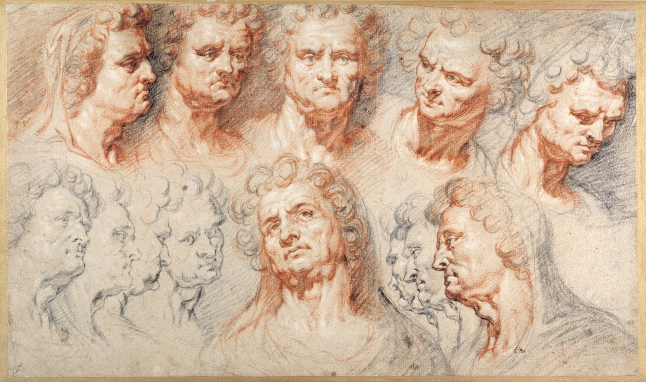 Head Studies（紙にカラーチョークで描いたもの 作： Arthur I（attr。To）Quellinus
