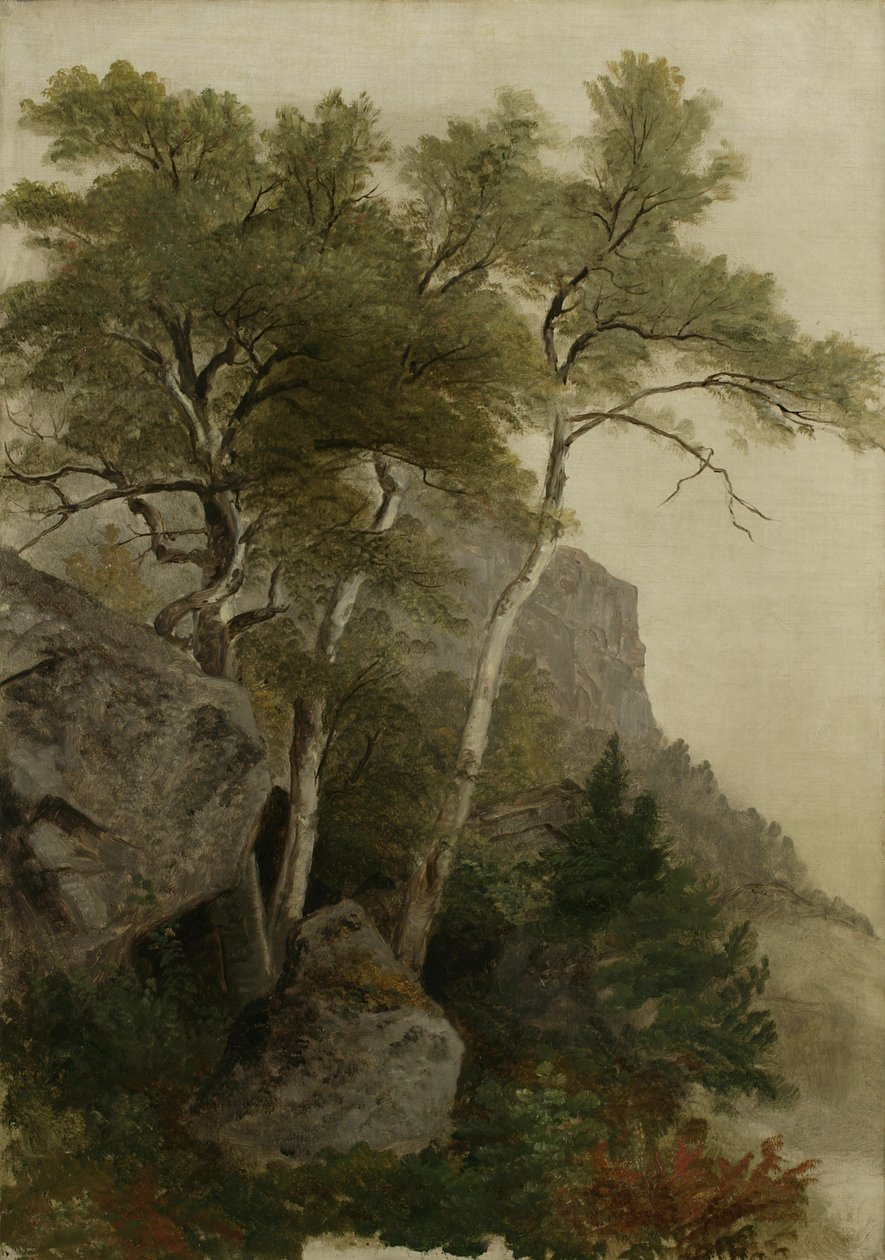 風景、1855 作： アッシャー・ブラウン・デュランド
