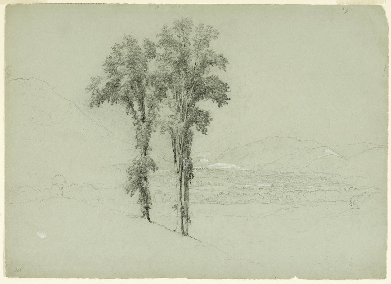 2本の木がある山岳風景、1851年（灰緑色の紙に黒鉛と白のガッシュ、黒鉛） 作： アッシャー・ブラウン・デュランド
