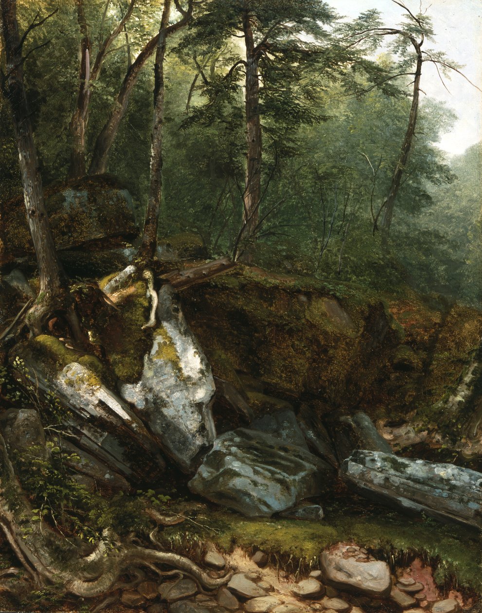 Study from Nature：Rocks and Trees in the Catskills、NY、1856 作： アッシャー・ブラウン・デュランド
