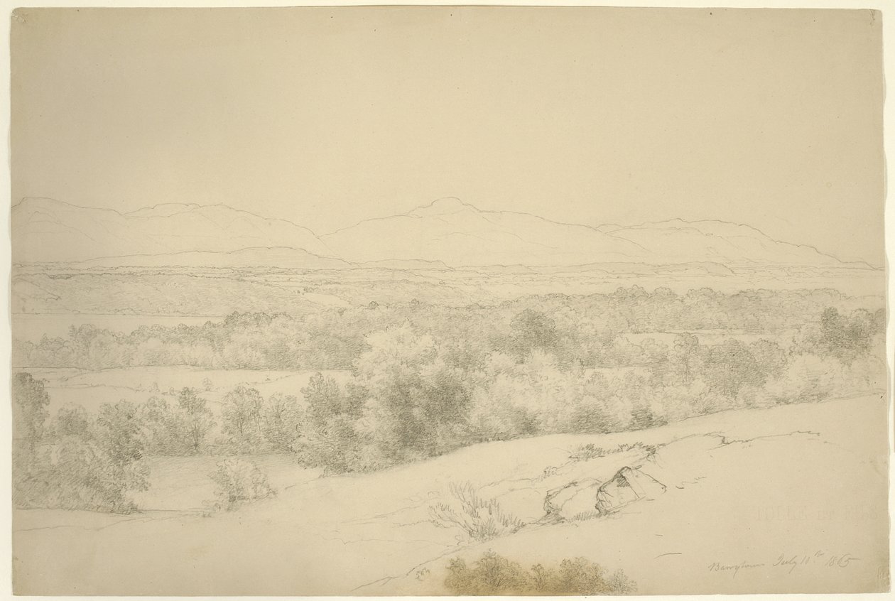 風景、ニューヨーク州バリータウン、1865年（茶色の紙に切り株が入ったグラファイト） 作： アッシャー・ブラウン・デュランド