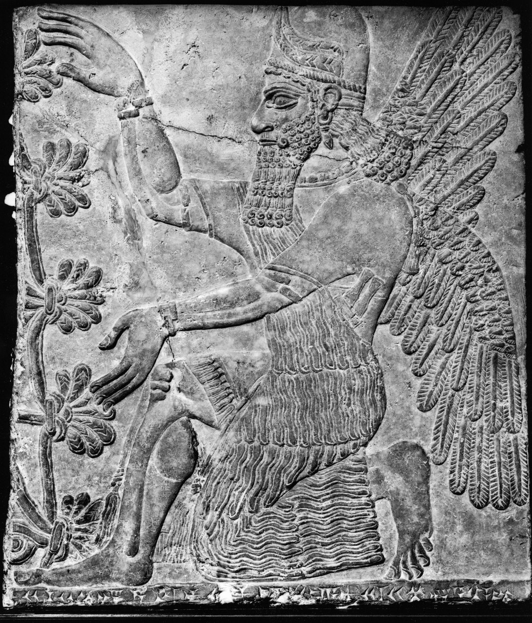 ニムルドの宮殿からの神聖な木を崇拝する翼のある魔神 作： アッシリア人