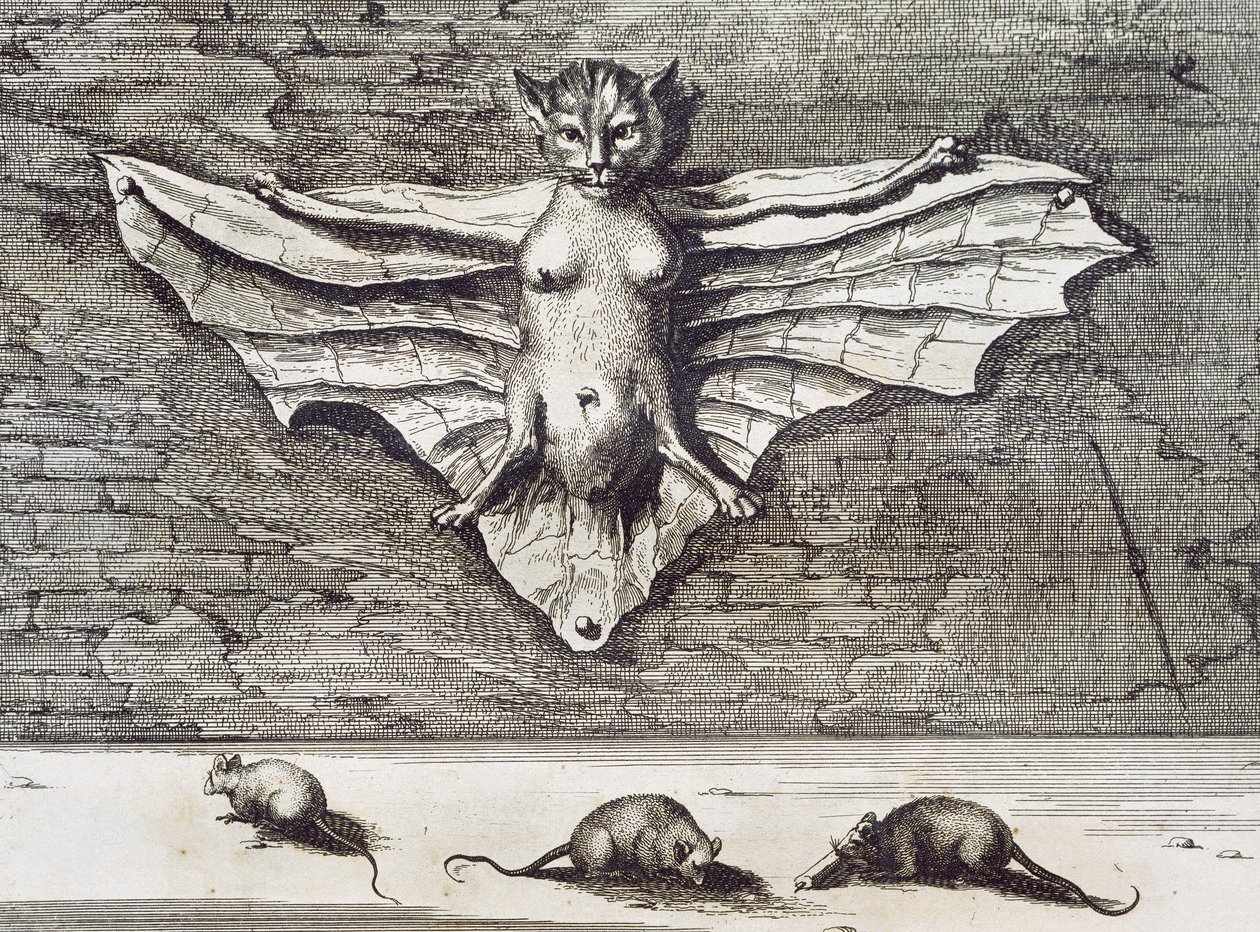 飛ぶ猫、1667 作： アタナシウス・キルヒャー