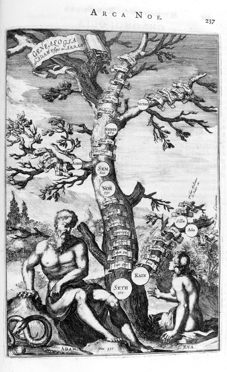 アダムの家系図、1675年。 作： アタナシウス・キルヒャー