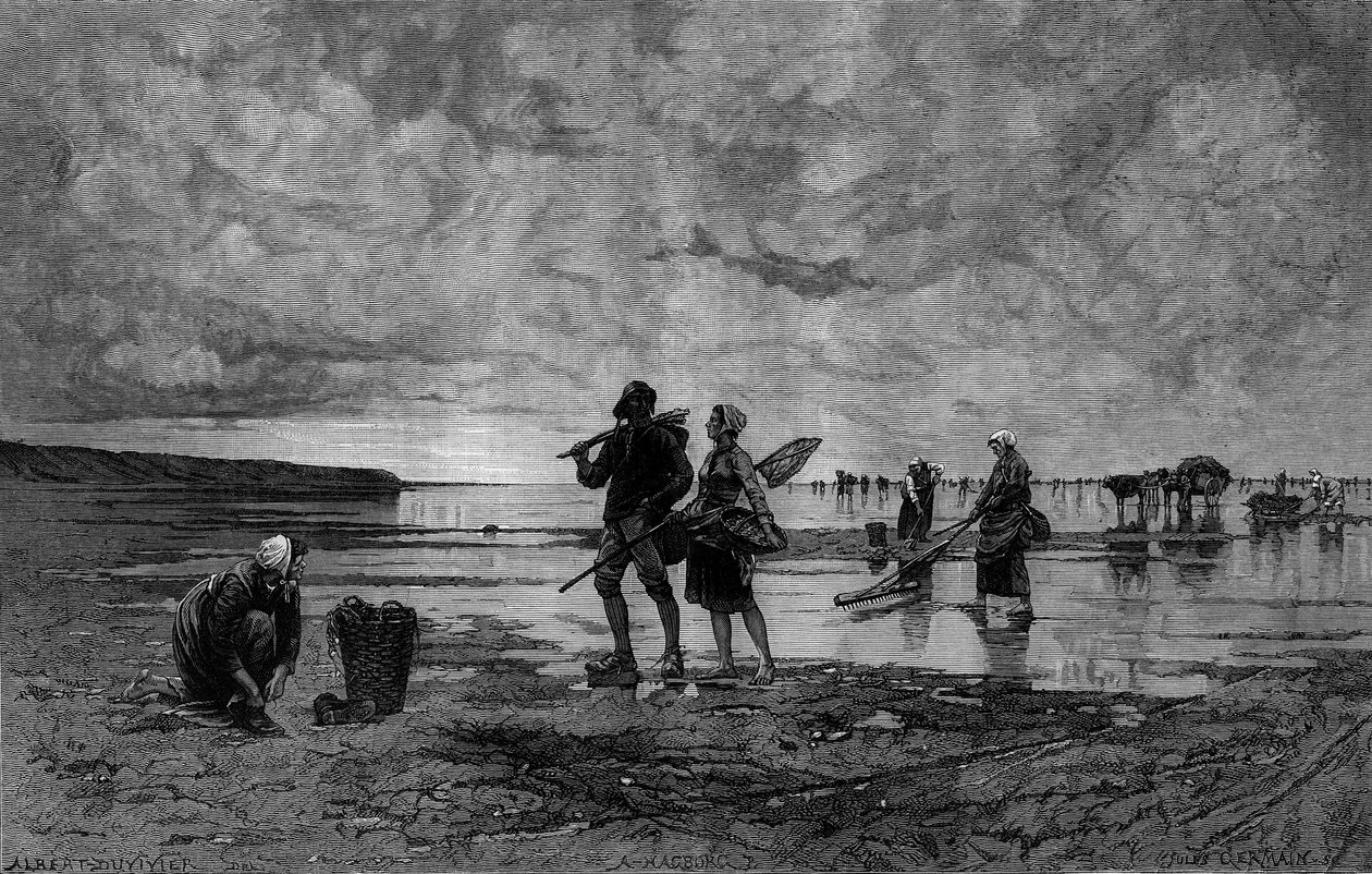 海峡の大海原（19世紀）：浜辺の貝の漁師たち。Hagborg Auguste Wilhem Nikolaus (1852-1921/1925)が描いた絵の後のエングレーヴィング（8月7日付「The Illustrous World」1219号 作： オーガスト・ウィルヘルム・ニコラウス・ハグボルグ
