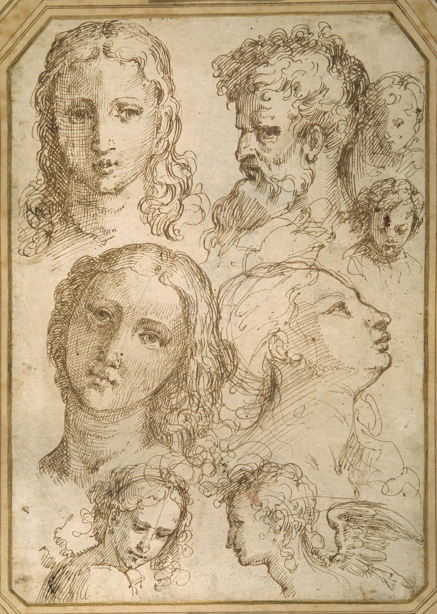 ヘッドスタディ：女性、天使、青年、ひげ面の男性（白紙にペンと茶インク 作： Aurelio（attr。To）Luini