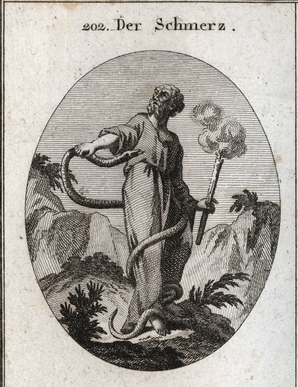 苦痛のアレゴリー。怪物のような蛇が彼を取り囲み、足を縛った後、彼の体を手に入れ、心臓を噛もうとする。彼女はまだ煙の出ている松明を持っているが、これは痛みによる衰えが魂の火を絶つことを意味している。イコノロ」のエングレーヴィング 作： オーストリア学派