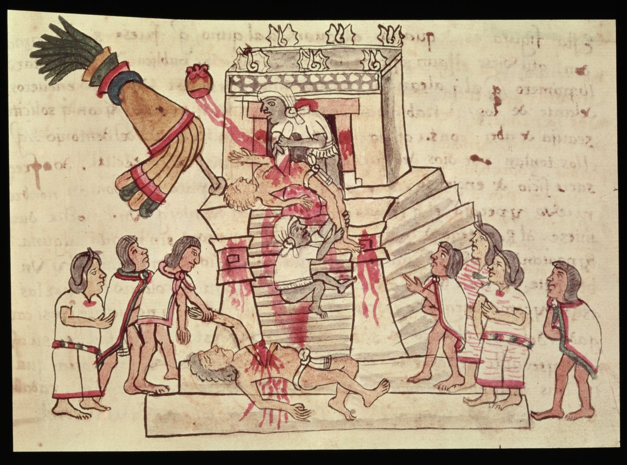 BR 232 fol.70rコーデックスマリアベキアーノからの人間の犠牲 作： アステカ
