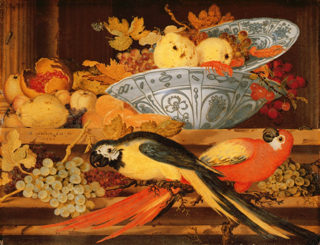 果物とコンゴウインコのある静物、1622年（銅に油彩） 作： バルタザール・ファン・デル・アスト