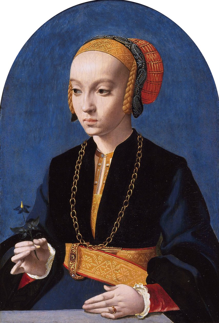 エリザベート・ベリングハウゼン（1520-1570）の肖像 作： バルテル・ブライン・ザ・エルダー