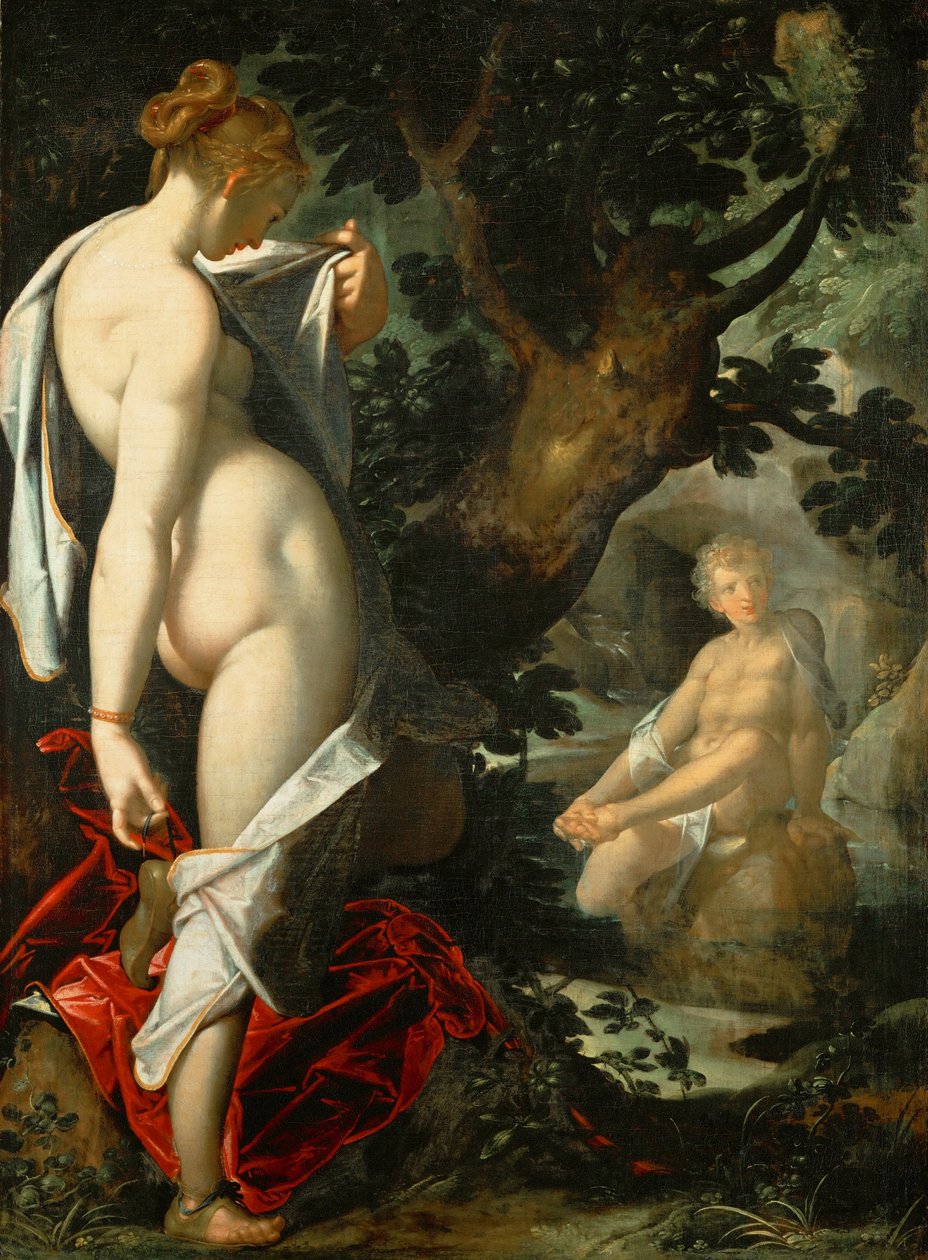 ドイツ語：Hermaphroditus und die Nymphe Salmacis ヘルマフロディトゥスとニンフ・サルマシス 作： バルトロマイ・スプランジャー