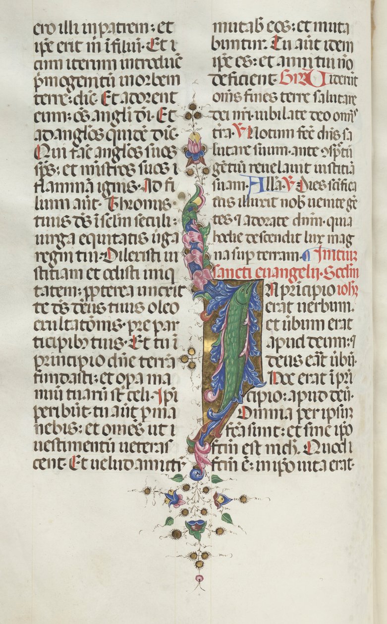 Missale：Fol。 22v：魚のいる葉、1469年。 作： バルトロメオ・カポラリ