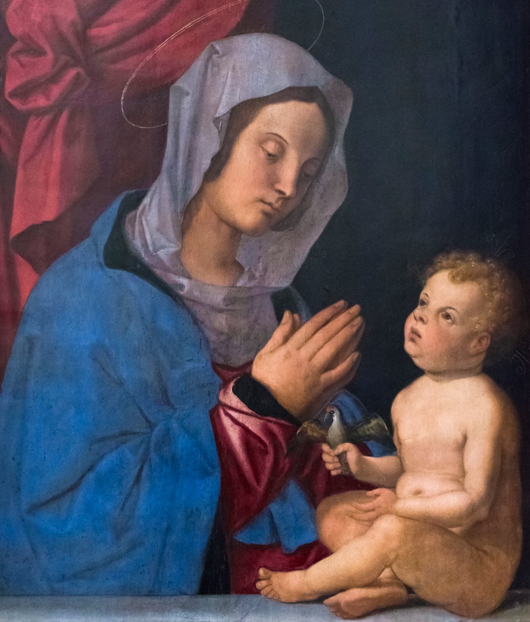 Madonna and child, c.1503 (oil on wood panel)   1460353   ja       japanese Successfully Translated  Original: Portrait of Louis XV of France, known as the Well-Beloved (Versailles Translat: Portrait of Louis XV of France, known as the Well-Beloved (Versai 作： バルトロメオ・モンターニャ