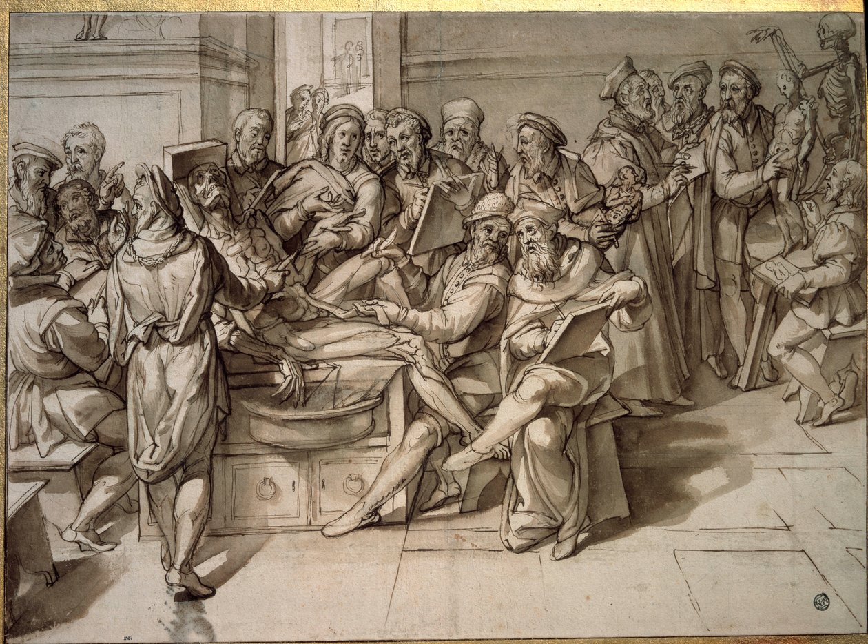 ミケランジェロ・ブオナローティ（Michelangelo Buonarroti dit Michelangelo）が行った解剖学の講義。 作： バルトロメオパッサロッティ