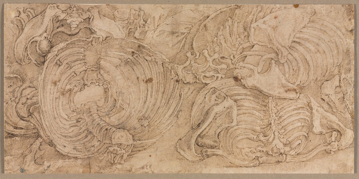 リブ・ケージ（1540年代前半 作： バティスタ・フランコ