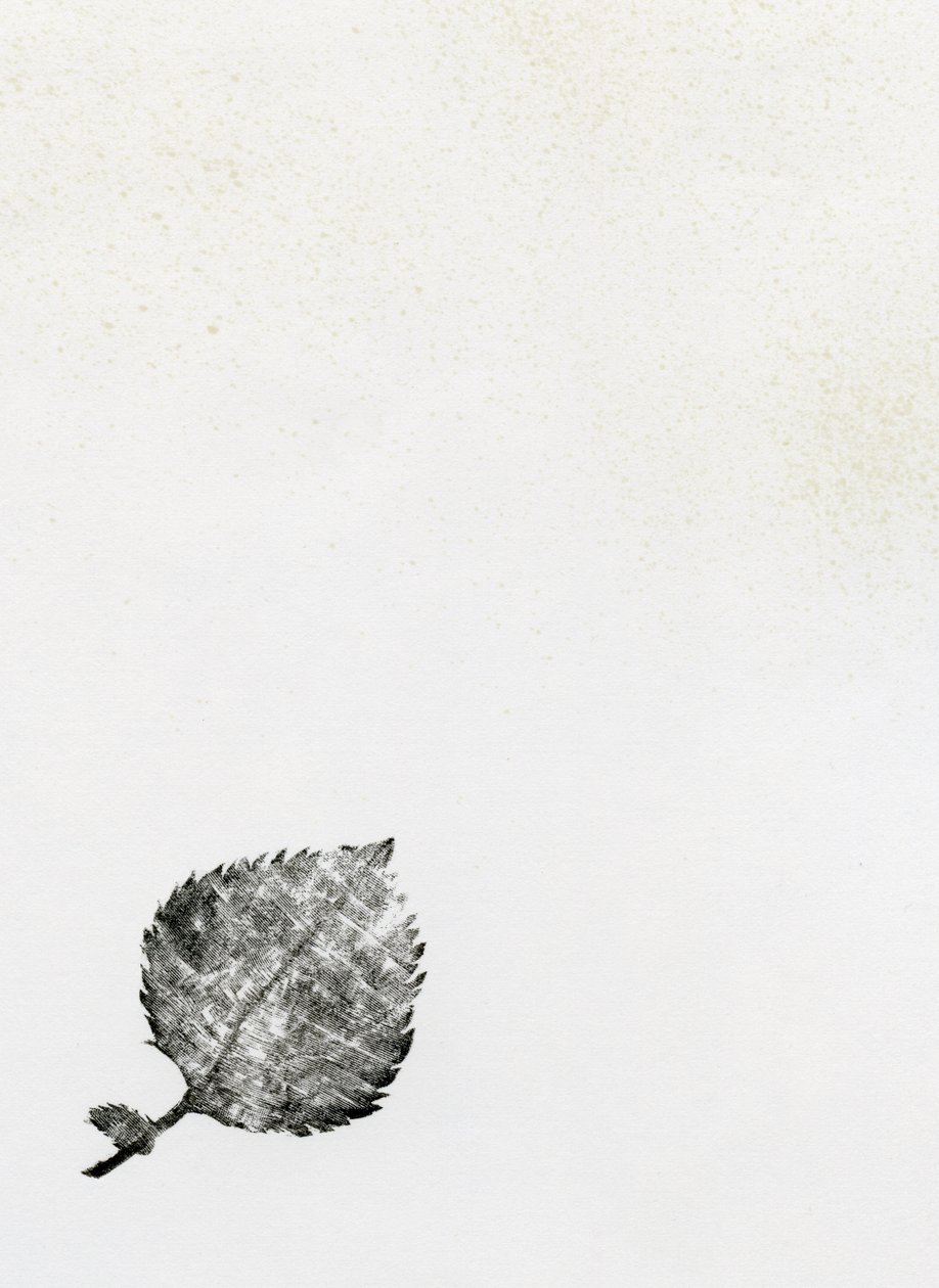 葉っぱ{Fay-erie Dust}、2014年（木版画と紙のインク） 作： ベラ・ラーソン