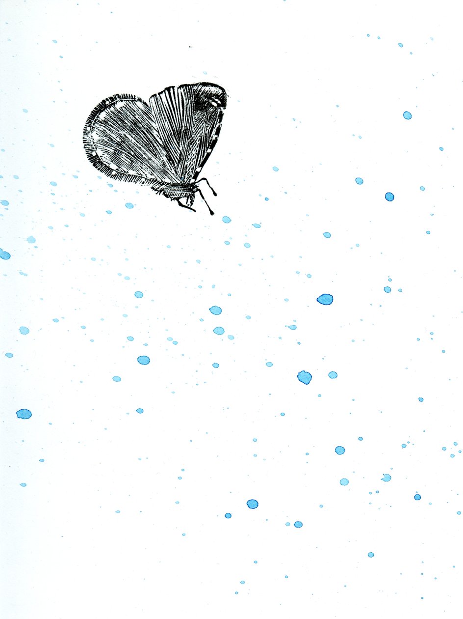 Moth {Fay-erie Dust}、2014（紙に木の彫刻と水彩） 作： ベラ・ラーソン