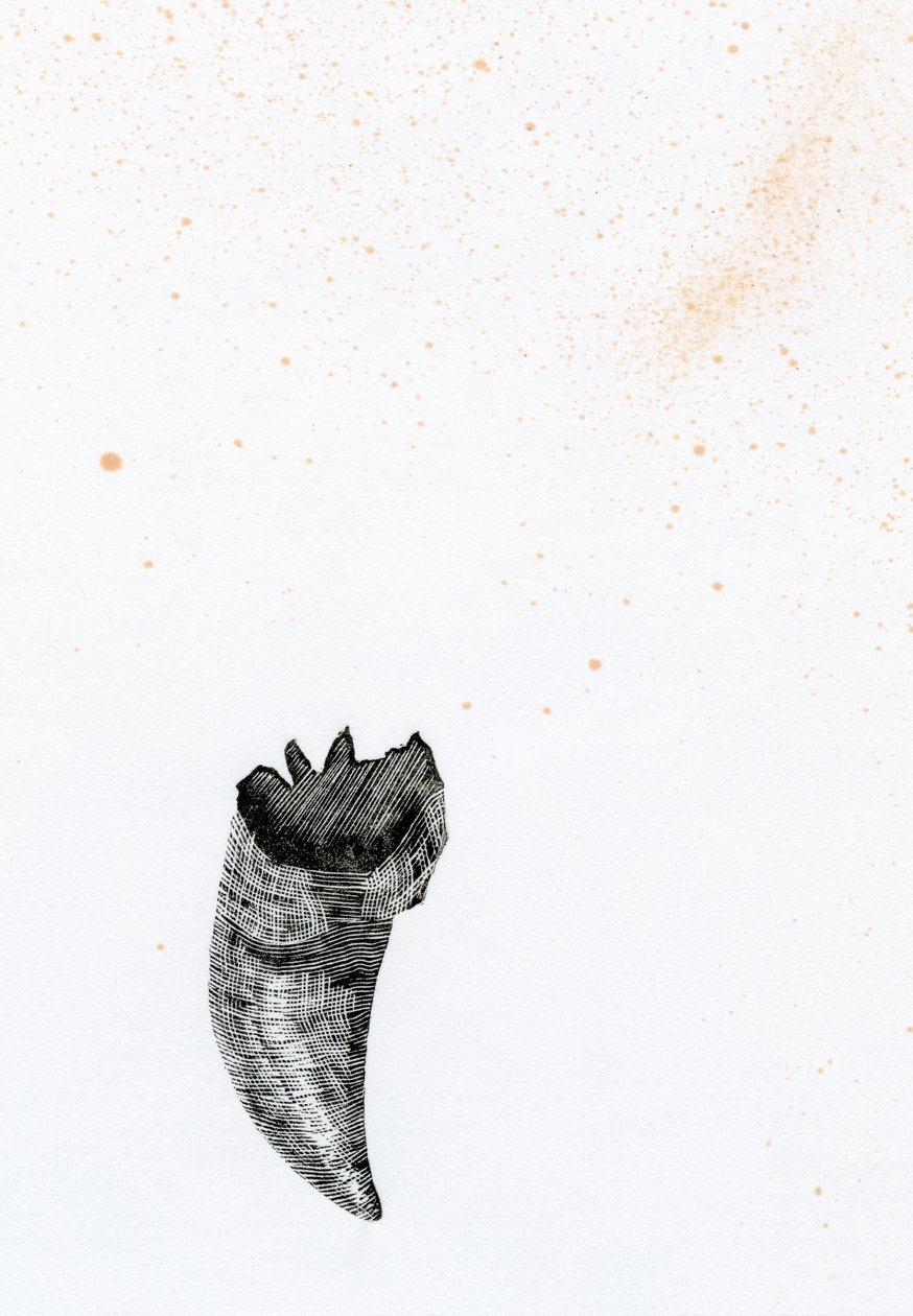 歯{Fay-erie Dust}、2014年（木版画および紙のインク） 作： ベラ・ラーソン