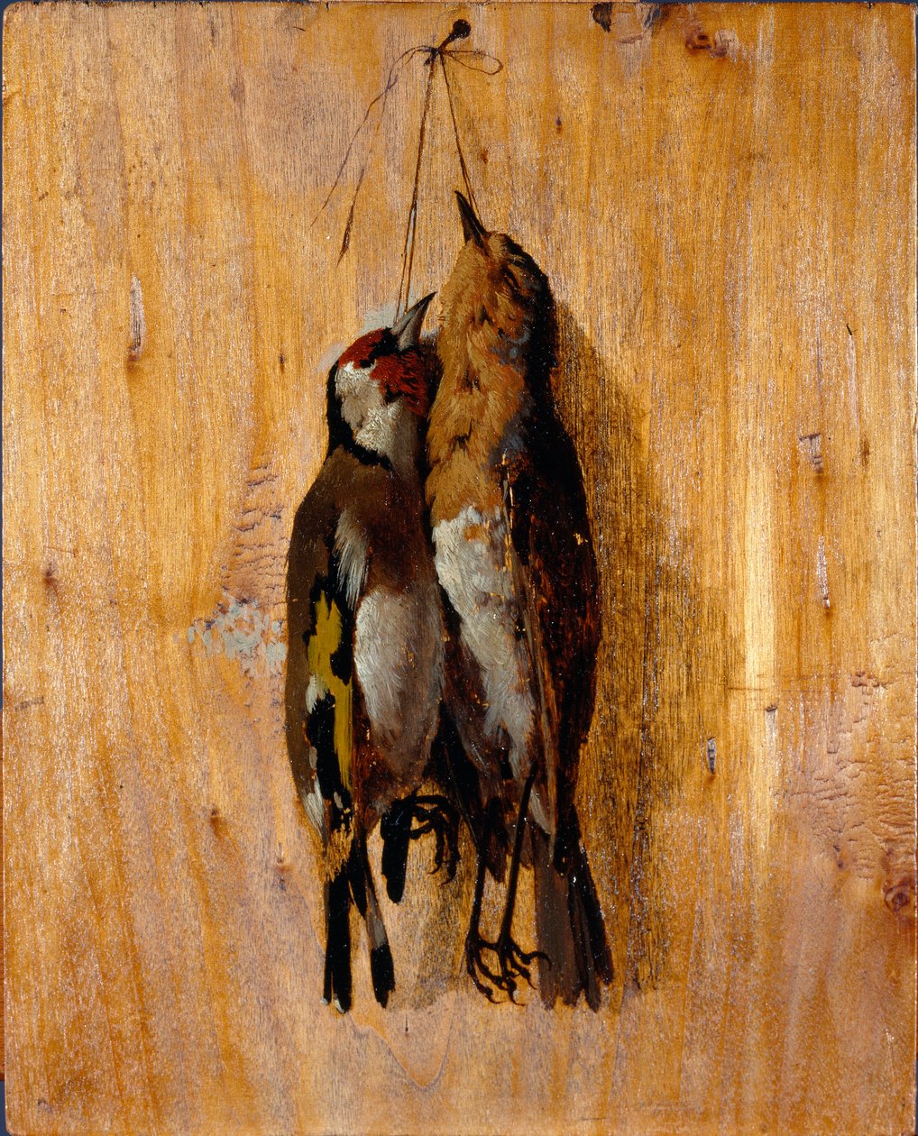 自然の後の研究 壁に 2 つの死んだ鳥のピン。 ベネデット ムッソ (1835-1883) による絵画、1864 年頃。 20,5x16,5 cm 遺伝子、ガレリア ダルテ モダンナ、inv. 453 作： ベネデットムッソ