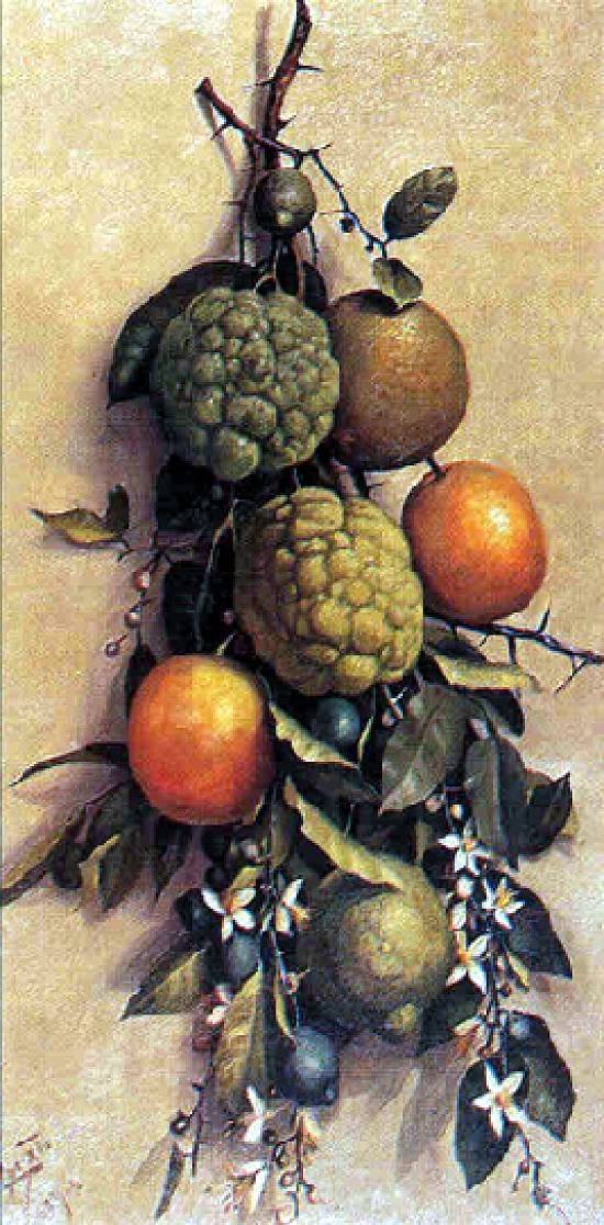 FruitnPortuguês：Frutasn 作： ベネディト・カリスト