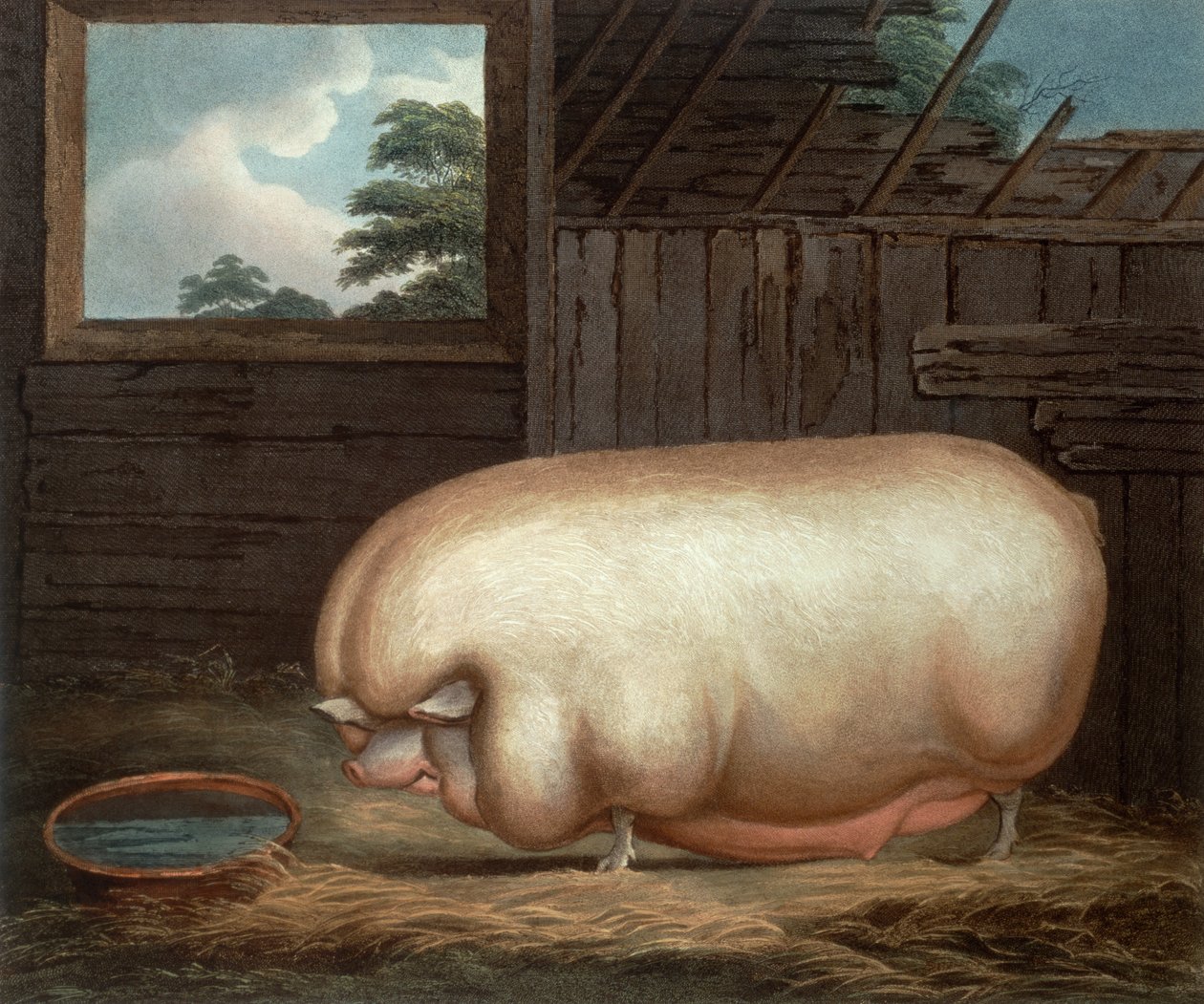 ジョンウェッセル（c.1760-1823）、1808によって刻まれたこの注目すべき動物... 作： ベンジャミン・ゲイル