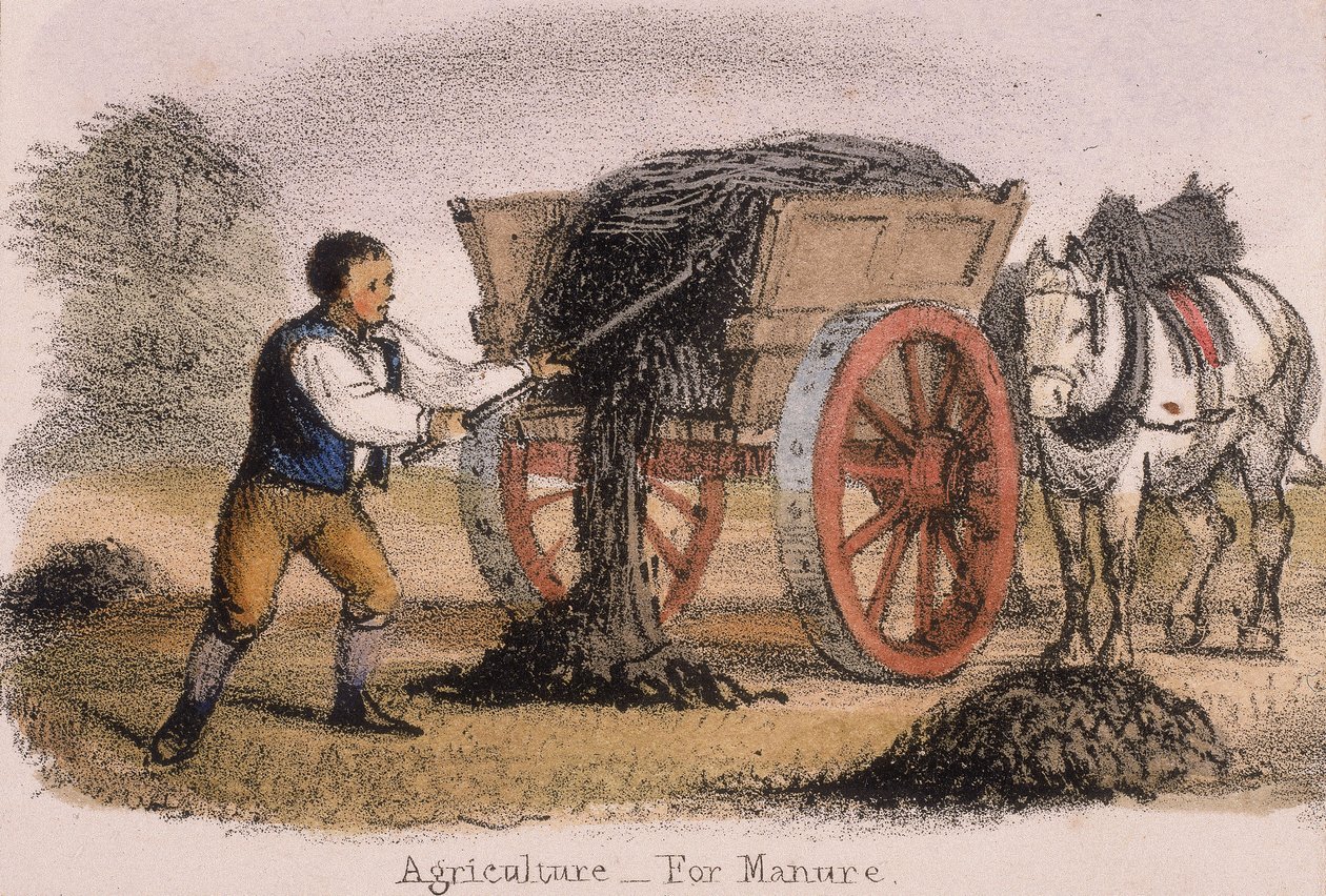 農業、肥料用、c1845 作： ベンジャミンウォーターハウスホーキンス